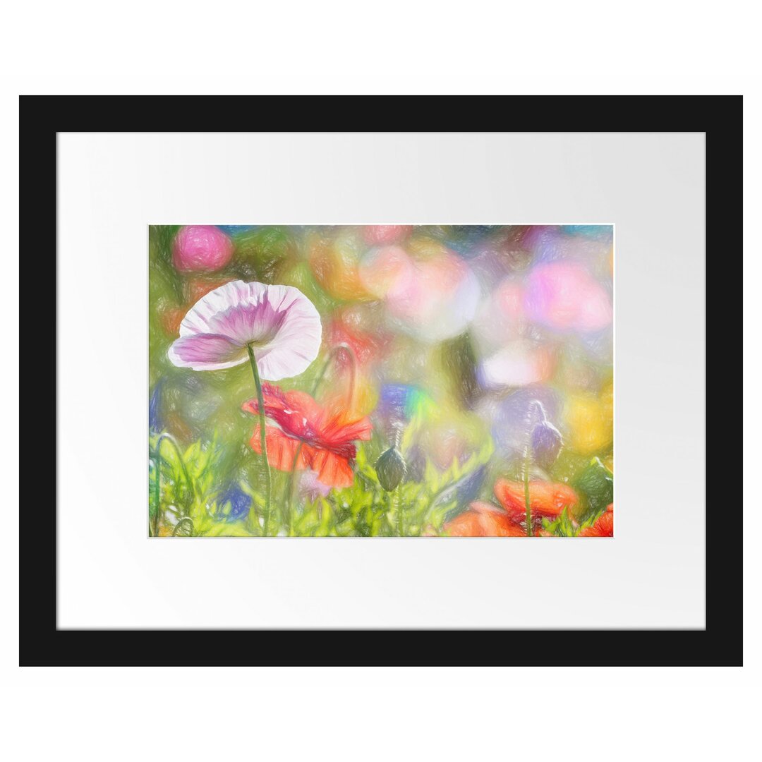 Gerahmtes Poster Kalifornischer Mohn im Frühling