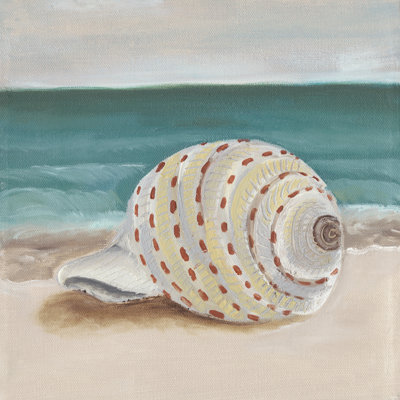She Sells Seashells II 1 Piece Wrapped Canvas Painting