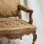 Tissu Animali-98326805