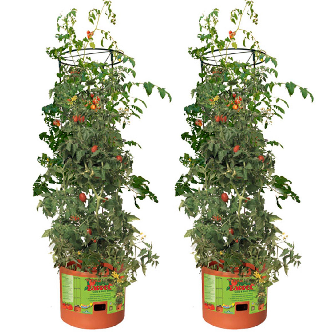 Hydrofarm GCTB Tomato Barrel Pot Garden Planting Trellis Decorative Accessory (Set of 2) Hydrofarm