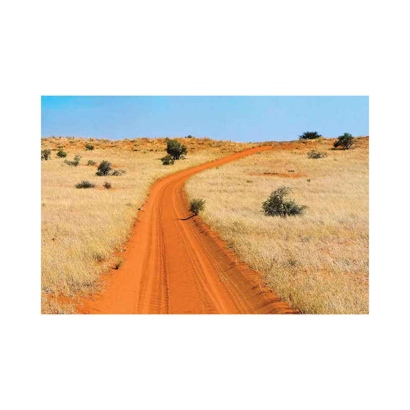 Red Sand Road In Kgalagadi Transfrontier Park, South Africa by Keren Su - Wrapped Canvas Print, 20.32cm H x 30.48cm W