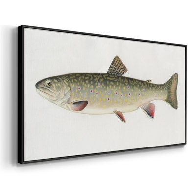 Large Mouth Bass- Framed Gallery Wrapped Canvas -Ready to Hang