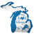 Detroit Lions