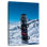 Sirci Snowboard dans la neige
