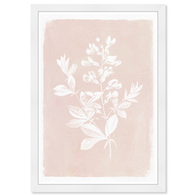 Plants & Flowers Framed Art