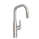 Muncy Single Handle Pull Down Kitchen Faucet