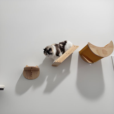 Gerlinda 3pcs Cat Wall Hammock & Shelves Set Cat Climbing Perches