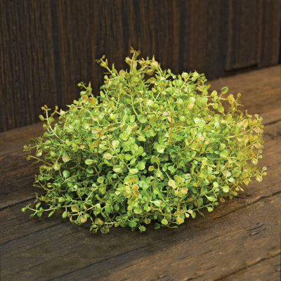 Arrangement floral herbe