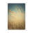 Windswept by Olivia Joy StClaire - Wrapped Canvas Gallery-Wrapped Canvas Giclée-237584613