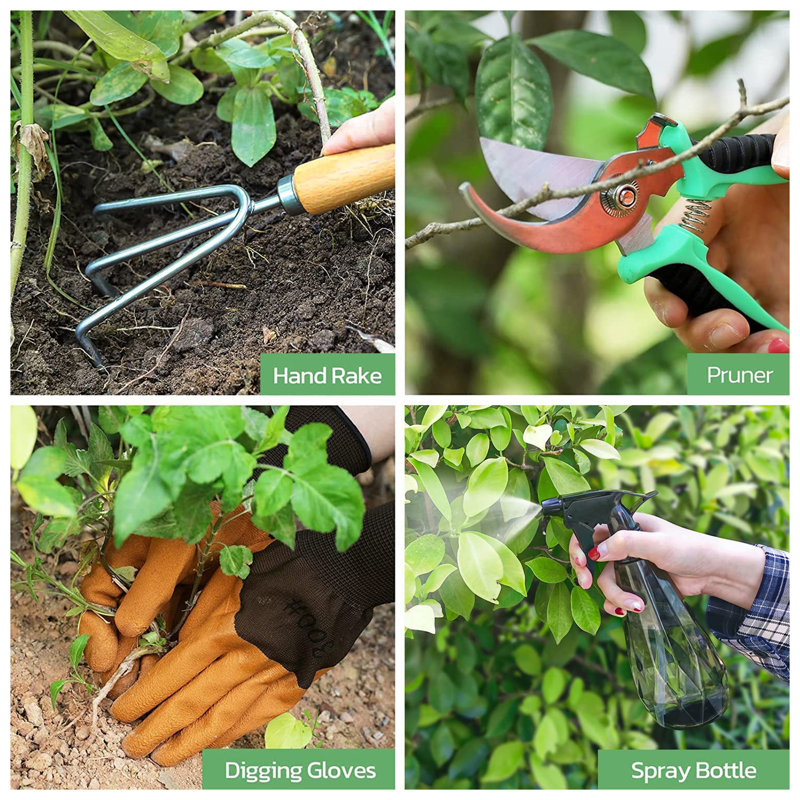 Ensemble d'outils de jardinage