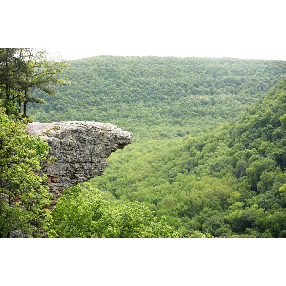 Ein Wald in Arkansas von TriggerPhoto - Kunstdrucke ohne Rahmen auf Leinwand