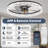 Ceiling Fan With Light