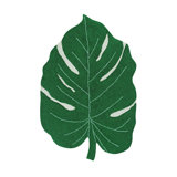 Plants Hand Knotted Cotton Area Rug in Green