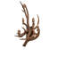 Antlers 5 - Light Candle Wall Light