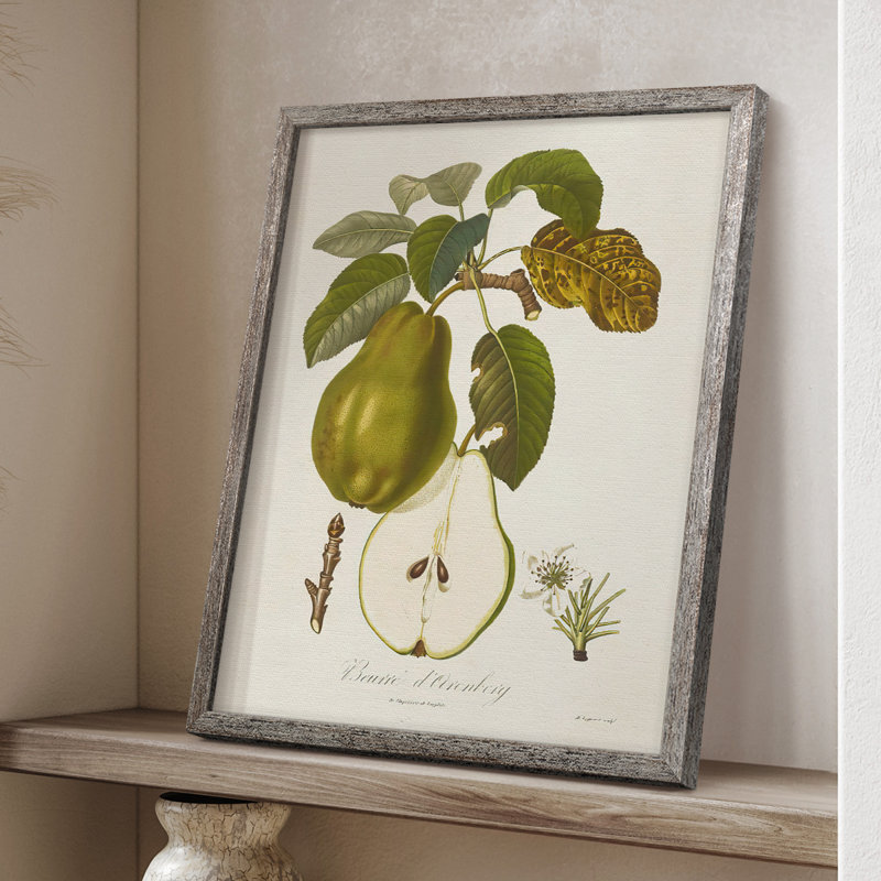 Vintage Pears IV, reproduction encadrée - bois massif, H 21 po x l 17 po