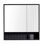 Asahel Surface Double Medicine Cabinet