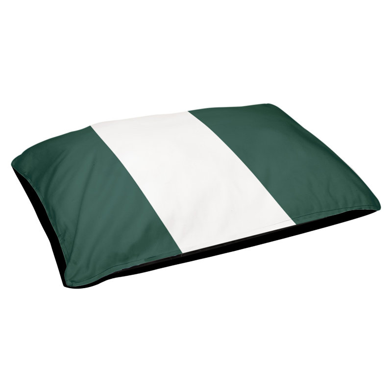Coussin d'extérieur pour chien Florida Tribe, Grand (l 40 po x P 30 po x H 6,5 po), Green/White/Green
