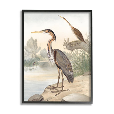 «Wild Heron Birds Perché Scenic Grassy Creek» par Piddix - peinture à cadre flottant sur toile