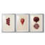 Imprimé floral rétro XLI - impression encadrée de qualité supérieure sur mesure mat - 3 pièces-567489810
