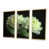 Toile naturelle avec cadre flottant