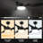 Gannicus 52'' Ceiling Fan with LED Lights