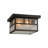 Glass Flush Mount