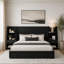 Upholstered Bed-913924770-913924771