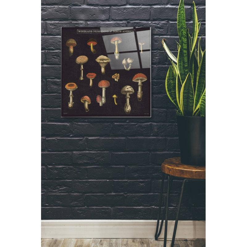 «Mushroom Chart I» par Wild Apple Portfolio, H 24 po x l 24 po