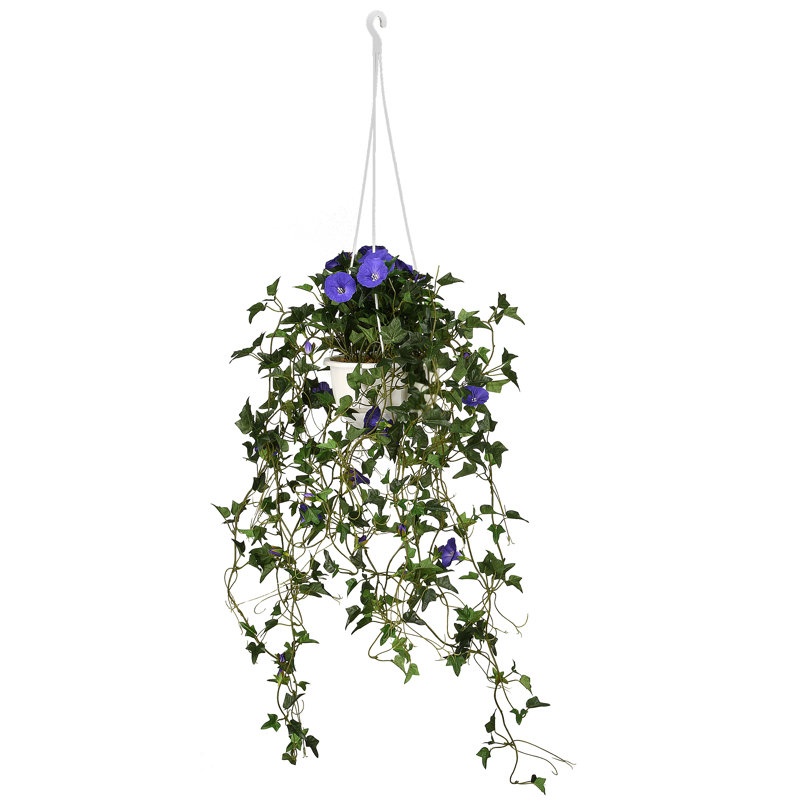 Plante de liseron suspendue de 112 cm