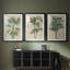 «Burlap Palm Silhouette I», impression encadrée sur mesure de qualité supérieure - 3 pièces-1369567217-1369567216