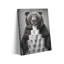 1 Piece Wrapped Canvas Wall Art