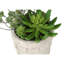 Plante artificielle