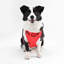 Harnais pour animal de compagnie Arlo-128618013-112400938