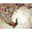 Peacock Gold Feathers Orange Polyester Placemat | Home Decor