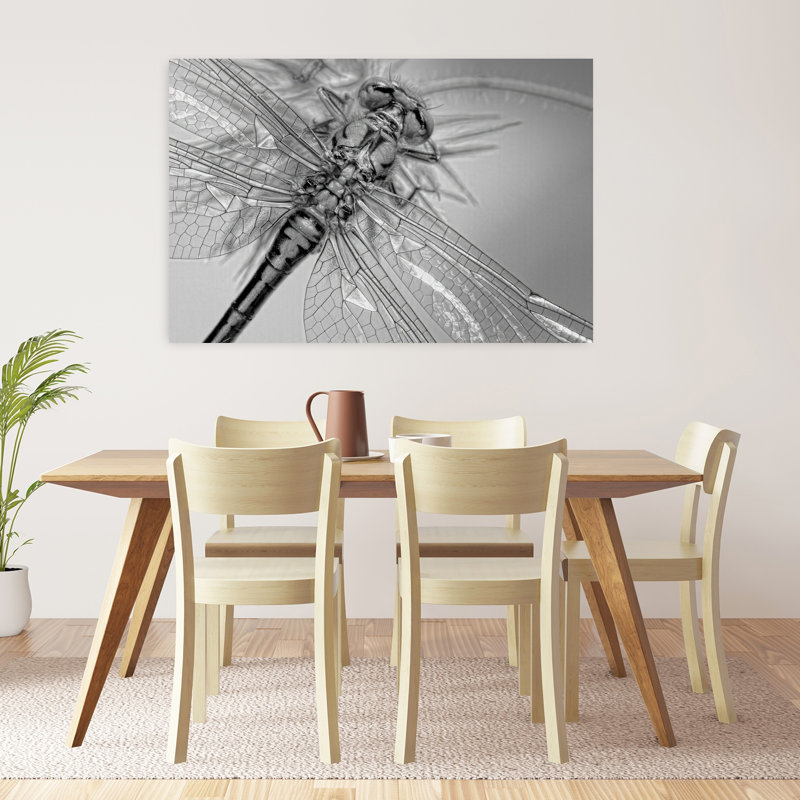 Monochrome Dragonfly Detail Delicate Elegant Serene Dragonfly Nature Wildlife Wall Art Print 1 Piece Wrapped Canvas Wall Art