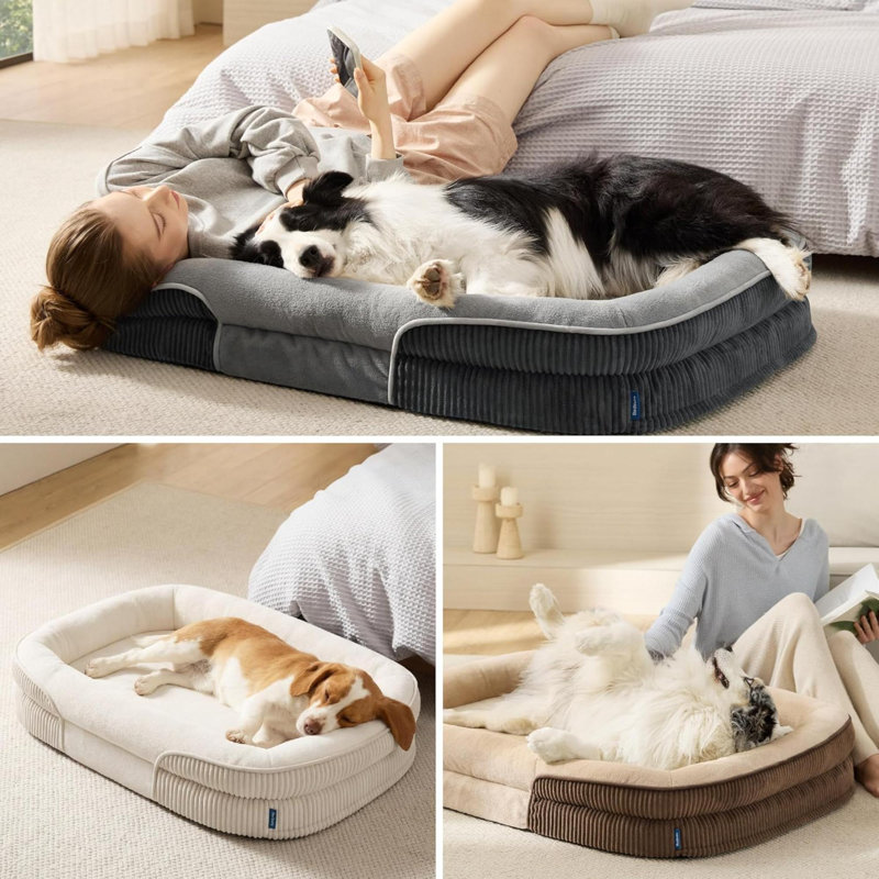 Pet Bed