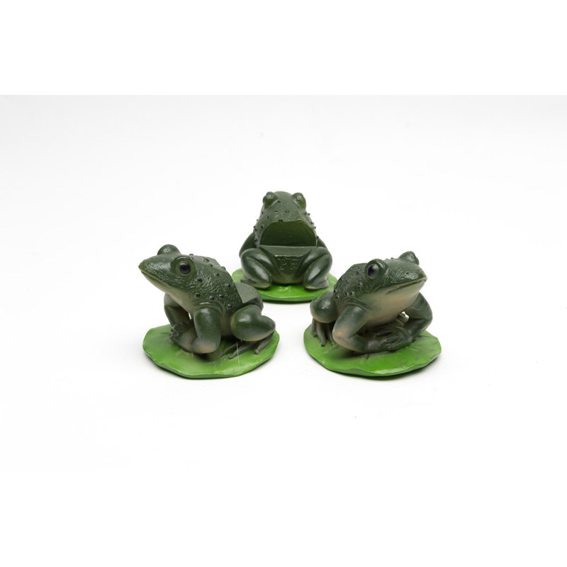 Pieds de jardinière accroupis dans une boîte-cadeau