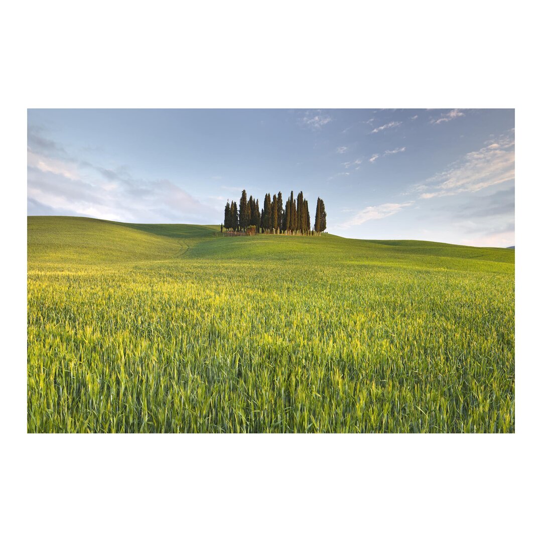 Strukturierte Tapete Green Fields in Tuscany 2,9 m x 432 cm