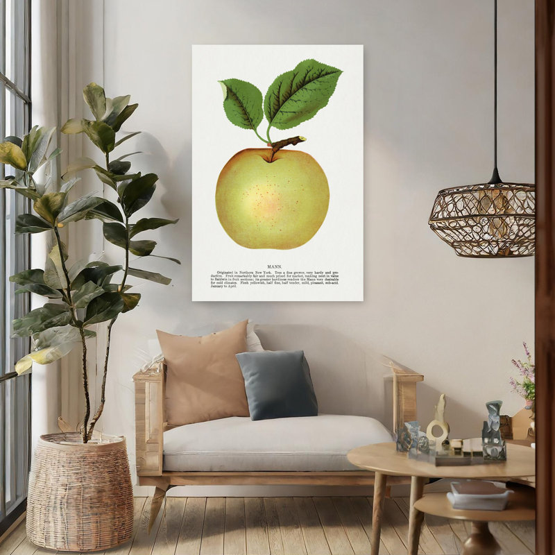 Pomme de lin Mann, H 48 po x l 32 po