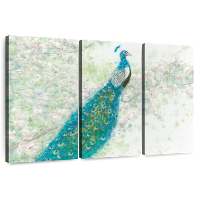 Brampt Spring Peacock I