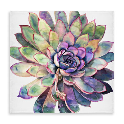 Multicolored Succulent Tablecloth - Indoor/Outdoor Home Decor