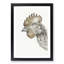 Head of a Chicken by Jean Bernard - Picture Frame Drawing Print-55579903-55579911