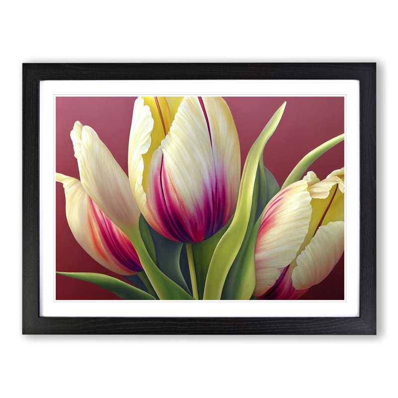 Dazzling Tulip Flowers - Framed Print, 25cm H x 34cm W x 2cm D, Black