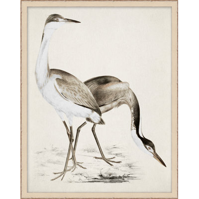Coastal Bird Impression 1 - Peinture avec cadre photo