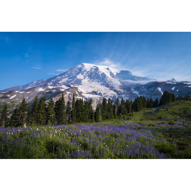 Beautiful Wildflowers And Mount Rainier by RobertCrum - Wrapped Canvas Print, 30cm H x 46cm W