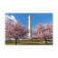 No Frame Print on Canvas-294065391