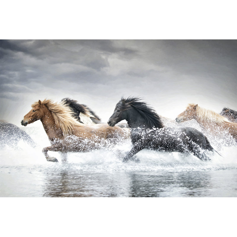" Horse Run V " by PHBurchett, 32" H x 48" W  , Yes, Maple Single Picture Framed
