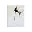 Graphic Image The Ultimate Ski Book, Coffee Table Book, Leather, Ivory