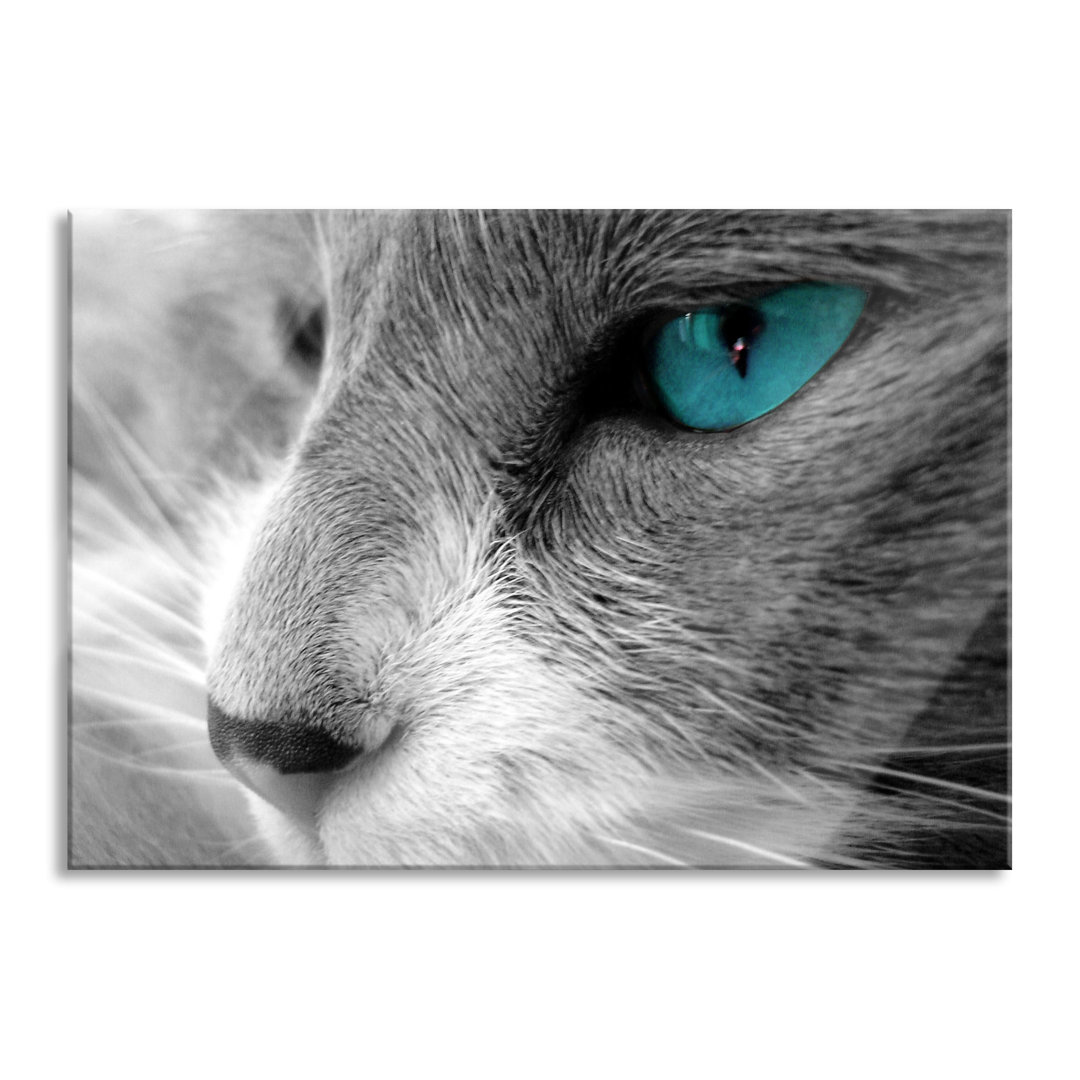 Glasbild Katze mit Augen