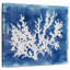 Bramal Coastal Washes corail II-109209469